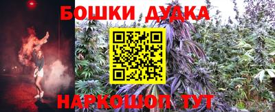 крисы Донской