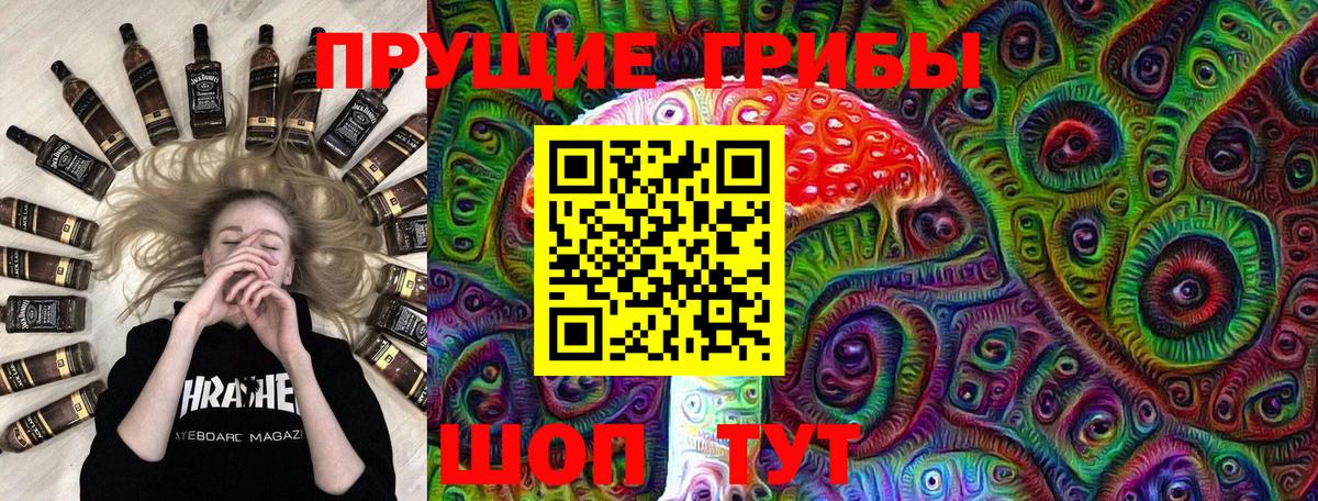 Галлюциногенные грибы Psilocybe  Псилоцибиновые грибы мицелий  Новоалтайск  Вход с VPN 