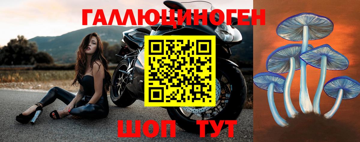 Галлюциногенные грибы GOLDEN TEACHER Новоалтайск